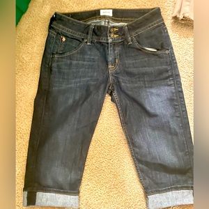 Hudson Denim Shorts LIKE NEW